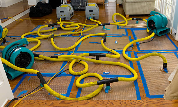 Professional Crawl Space Water Removal technician working in Lyle, WA